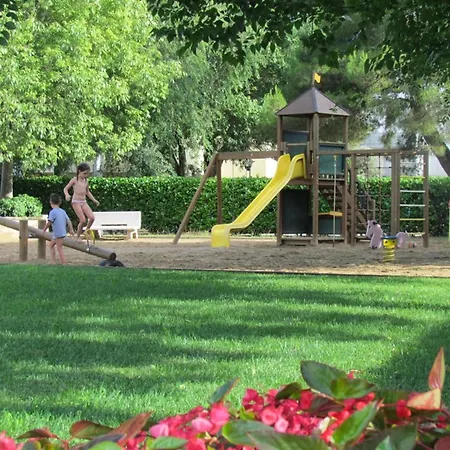 Comfy In A Charming * ביביונה