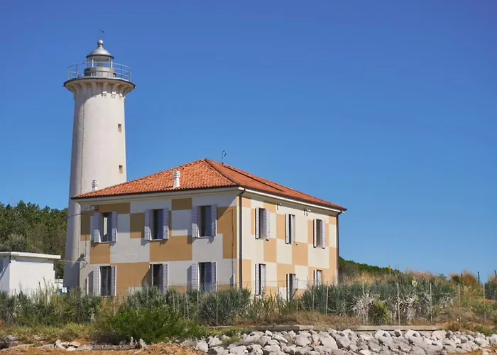 Comfy In A Charming * 비비오네